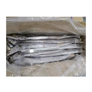 Qualité supérieure Poisson frais congelé entier ruban frais Meilleur prix de gros Livraison rapide en stock Acheter maintenant à vendre - Product Image 6