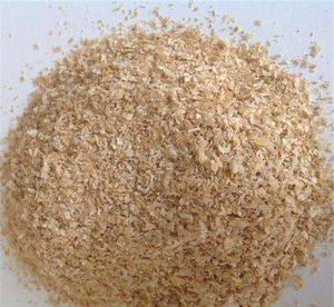 Polvo de salvado de trigo para una cocina saludable y recetas veganas Salvado DE TRIGO orgánico Premium - Product Image 6