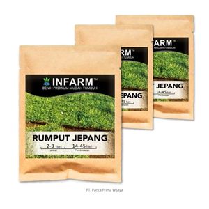 Semillas de Césped Japonés de Alta Calidad |   100% Natural 5g |   Césped Verde Denso Resistente al Calor de Textura Fina para Jardín y Paisajismo - Product Image 3