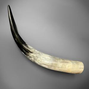 Cuerno de búfalo y buey pulido, copa de cerveza vikinga para eventos medievales - Product Image 2