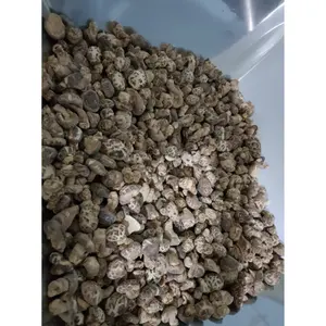 Fungo Shiitake essiccato da una grande fattoria essiccato fungo della foresta nera dal Vietnam a prezzo competitivo