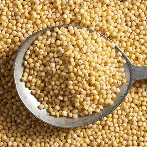 Оптовая продажа сельскохозяйственных продуктов, белое просо, сушеное 2024 из Пакистана, органическое белое просо, дешевая цена