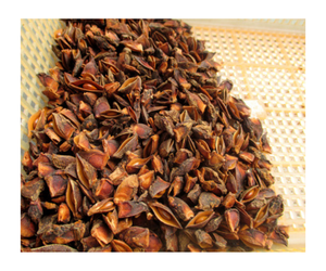 Anis étoilé de qualité vietnamienne en gros de qualité supérieure 5% 10% 100% produit agricole cassé de toutes qualités - Product Image 3