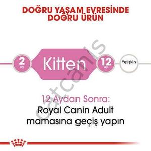 Royal Canin Fhn gattino 36 gattino cibo 4 Kg