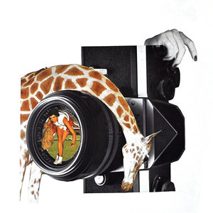 Special Price A4 Art Prints Sarcastic Collage Paper 29.7x21cm - Product Image 6