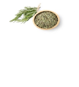 Extrait de plante de feuilles de romarin séchées cultivées en Inde - Product Image 4