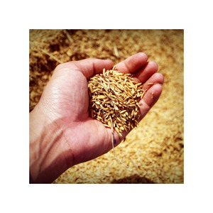 Dernier arrivage de graines de moutarde pour l'alimentation animale, qualité fraîche, pour l'alimentation du bétail, son de riz à grain pur, graines de moutarde jaune - Product Image 1