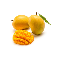 Beste kwaliteit verse Alphonso mango's, superklasse, 3kg doosverpakking, natuurlijke zoete smaak, concurrerende prijs
