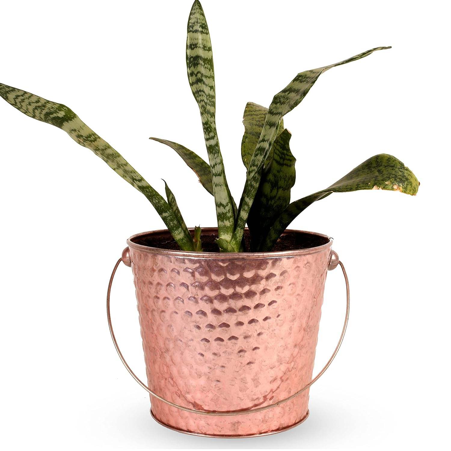 ปรับแต่ง