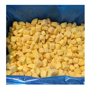 มะม่วงแช่แข็งเกรดสูงสำหรับอุตสาหกรรมของหวานและเครื่องดื่มผู้จัดจำหน่ายจากเวียดนามขายส่งแช่แข็งมะม่วง - Product Image 3