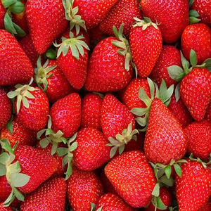Fraises fraîches de qualité supérieure pour la vente en gros Meilleur prix Achetez maintenant Fruits frais sucrés naturels en stock à vendre - Product Image 4