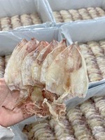 Calmar séché du Vietnam de haute qualité et au meilleur prix
