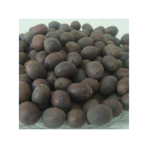 เมล็ดบัวสีดำในเปลือกเมล็ดบัวคุณภาพดีพร้อมส่งออกจาก99 GD - Product Image 6