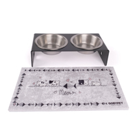 Station d'alimentation portable pour animaux de compagnie, double gamelle en fer, étanche, qualité alimentaire, grande capacité, 2 bols en céramique, design moderne et transparent pour chat et chien