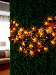 LED serie 100 luci magiche 6.6M bianco caldo multicolore blu fucsia albero di natale decorazione 6 colori IP44 valutato DC 6V Dimmable - Product Image 3