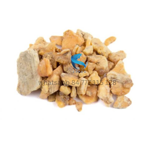 Producto 100% Puro Extraído de la Goma del Árbol Bodhi en Vietnam a Buen Precio - Product Image 6