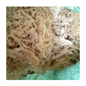 Washed Eucheuma Cottonii Seaweed Irish <b>Moss</b> Dried <b>Sea</b> <b>Moss</b> from Coastal Vietnam for Food Manufacturing - Product Image 4