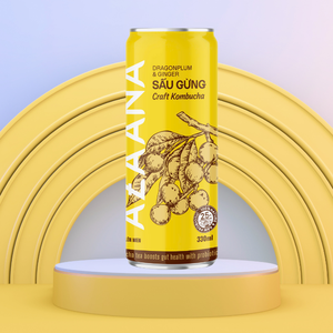 Le concentré de jus de Kombucha aux fruits et au gingembre vietnamiens offre une expérience de Kombucha rafraîchissante et riche en saveurs - Product Image 4