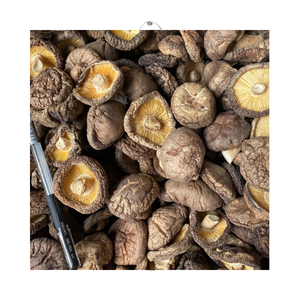 เห็ดชิตาเกะแห้งจํานวนมากผลิตภัณฑ์ทางการเกษตรเวียดนามเห็ดชิตะเกะแห้งขายร้อนเห็ดแห้ง - Product Image 1