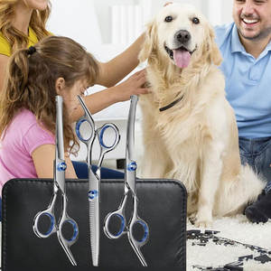 ชุดกรรไกรเสริมสวยสุนัขสแตนเลสสำหรับดูแลสัตว์เลี้ยงเครื่องมือผ่าตัดสัตวแพทย์ออนไลน์ - Product Image 5