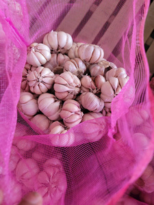 Ajo Seco Vietnamita Único de An Giang 100% Natural 12 Meses de Vida Útil Listo para Usar para Exportación al por Mayor - Product Image 5