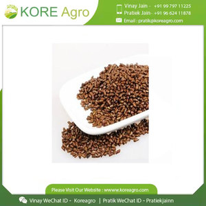 Prix bon marché indien Bold Cassia Tora Herb épices entières séchées sous forme de pièce traitement séché à la annonce brut pour l'exportation - Product Image 4