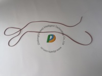 Pièces d'origine Pièces moteur OEM X15 ISX15 QSX15 LUB OIL CLR HSG GASKET 4962722 4059182 3679913 4059183 3079637 4962723
