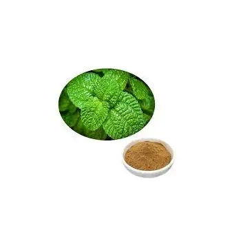 Natural Plant Extract Food Additive Flavour Fragrance DL-mentol/mentol cristal fornecimento de melhor qualidade da Índia