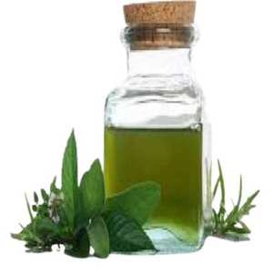 Aceite esencial de pennyroyal puro 100%, venta al por mayor, aceite esencial de pennyroyal natural y puro a granel - Product Image 1