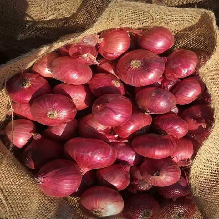 Kualitas Tinggi Bawang Segar 20Kg Per Kantong Bawang Merah Segar dari Uni Eropa Siap untuk Ekspor