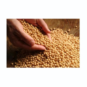 High Quality Premium Natural Non-GMO Yellow <b>Soybean</b> Seeds (Soya Bean/Soy Beans) Bulk Dried <b>Soybeans</b> Grain 25kg 24 Months Shelf - Product Image 2