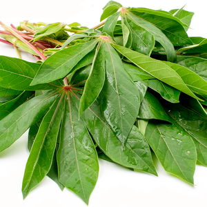 Hoja de yuca pura/antiinflamatorio/etiqueta limpia/base vegetal - Product Image 1