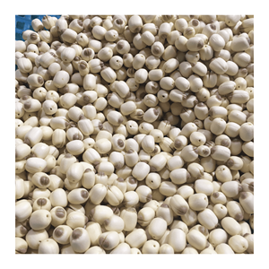 Graines de lotus séchées, matière première soigneusement sélectionnée, adaptées à la préparation alimentaire et aux formulations de desserts, fabriquées au Vietnam. - Product Image 1