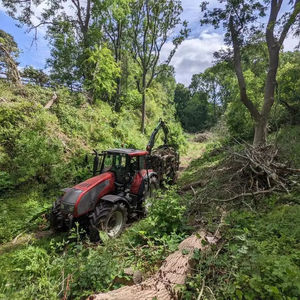 Leña de Roble Seca en Horno - Leña con Humedad del 18% - Leña de Madera Dura para Energía Térmica - El Mejor Proveedor - Product Image 1