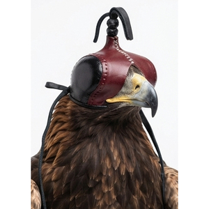 Custom Designs Soft Leather Falconry Hood Red Black Durable Portable <b>Foldable</b> Hunting Equipment Birds One Size Outdoor Use - Product Image 1