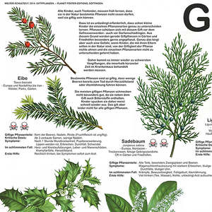 Póster Alemán DIN A1 sobre Plantas Venenosas para Exhibición en Pared, Hecho de Papel - Product Image 3