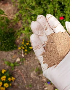 Harina de Pescado para Alimentación Animal y Exportación - Product Image 4