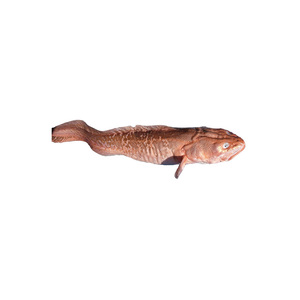 Poisson kingclip congelé en vrac prêt à l'exportation avec une logistique fiable - Product Image 6