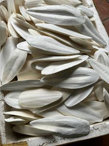 แคลเซียมธรรมชาติสำหรับนกกระโหลกเต่าเนื้อกระดองตัดแต่งให้มีความแข็งแรงและงานฝีมือ - Product Image 6