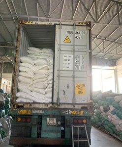 เครื่องชั่งปลานิลแห้งขนาดใหญ่กว่า1ซม. มีโปรโมตสำหรับลูกค้าใหม่ - Product Image 5