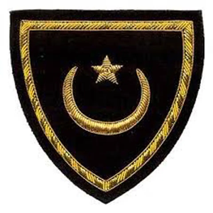 Insignias de bordado de hoja de oro hechas a máquina de diseño cómodo más nuevo, parches de alambre de lingotes para ropa, logotipos de marca personalizados - Product Image 6