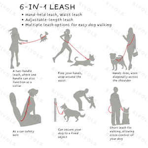 Laisse de course multifonctionnelle 6 en 1 Anti-Pull Laisse pour grand chien Laisse pour chien Crossbody - Product Image 3
