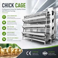 Système de cages à volailles avec ligne d'alimentation automatique, ligne d'abreuvement et système de collecte des œufs