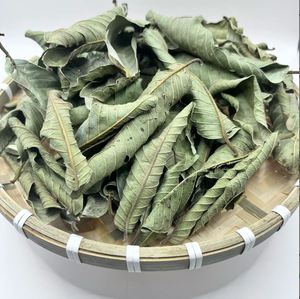 Top vente 100% feuille de goyave séchée naturelle fabriquée au Vietnam avec un bon prix et une haute qualité supérieure - Product Image 4