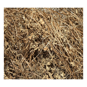 Top Selling Vietnamese Black Grass Jelly Dessert // Best Quality Chewing and Fresh Product for Wholesales - Product Image 1