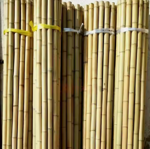 Carefully Harvested Bamboo Pole-Strong, Biodegradable <b>Plant</b> <b>Supports</b> <b>for</b> Earth-Friendly <b>Gardens</b> VIET FARGIMEX - Product Image 1