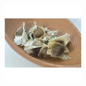 Proveedor de Polvo de Semillas de Moringa en Bélgica con 12 Meses de Vida Útil - Product Image 5