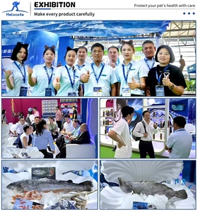 Los fabricantes personalizan directamente el precio completo, nutritivo, pescado de aguas profundas, alimentos secos para gatos de alta proteína - Product Image 4