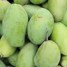 Venta al por mayor 100% mangos frescos de alta calidad de Vietnam precios competitivos exportados desde 99 Gold Data - Product Image 4