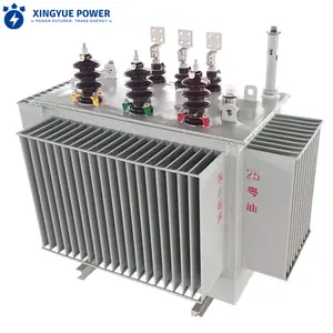 Ngoài trời tiếng ồn thấp 3 giai đoạn 200kva 500kva 13.8kv 120V 240V dầu đắm mình biến áp